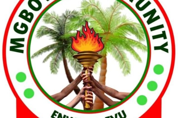 ADDRESSING THE EDUCATIONAL CRISIS IN MGBOWO: THE URGENT NEED FOR AN EDUCATION TRUST FUND AND SKILL ACQUISITION SCHEME